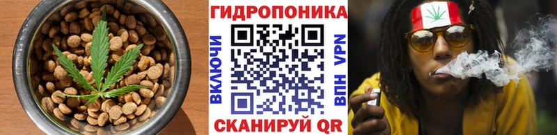 где можно купить наркотик  MEGA ONION  Еда ТГК конопля  Богданович 