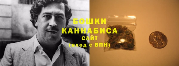 стафф Богородск