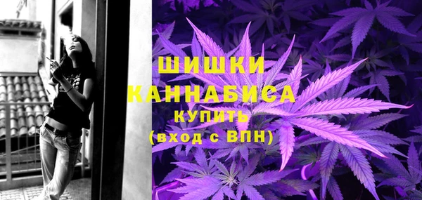 тгк Богданович