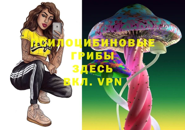 стафф Богородск