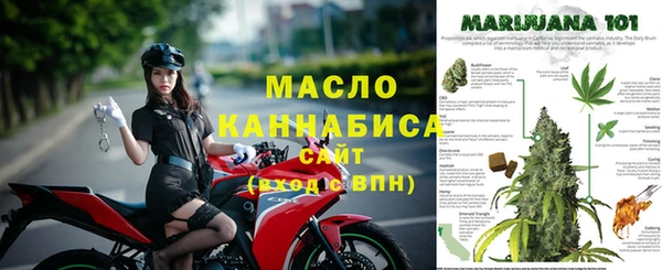 ГАЛЛЮЦИНОГЕННЫЕ ГРИБЫ Белокуриха